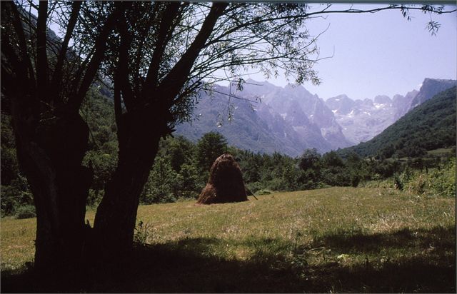 údolí Grbaja zdola